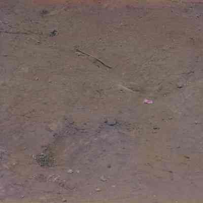 Hard pan surface with red flag