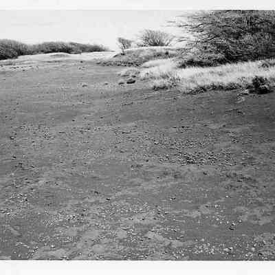 Site 104M #20