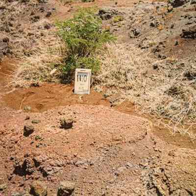 Hardpan terrain with white sign