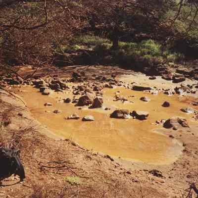 Kuheia Streambed