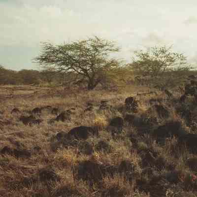 Possible archaeological site