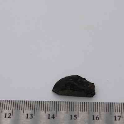 Closeup of basaltic glass flake with ruler: A small basaltic glass flake is placed on a white surface with a ruler for measurement, highlighting its size and texture.