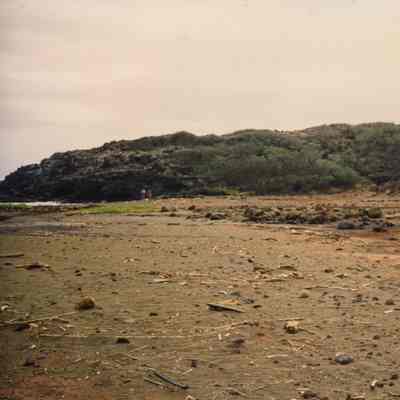 Semi-rocky terrain