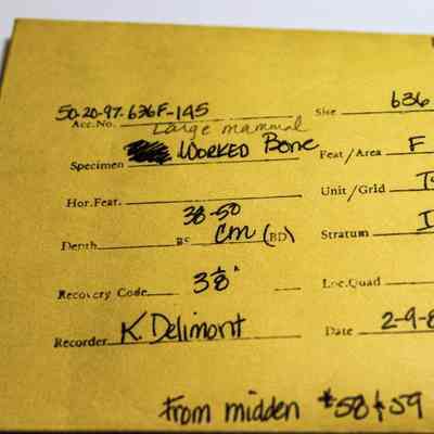 Artifact envelope for a piece of worked mammal bone: The image shows a yellow artifact envelope with handwritten details about a specimen. It includes information such as the site, feature area, unit grid, specimen name.