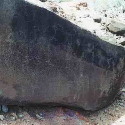 Petrogylphs-group on one rock