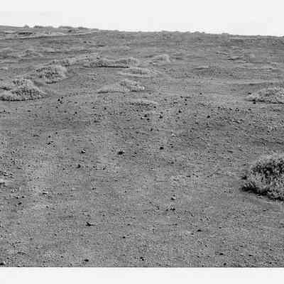 Site 110D #0