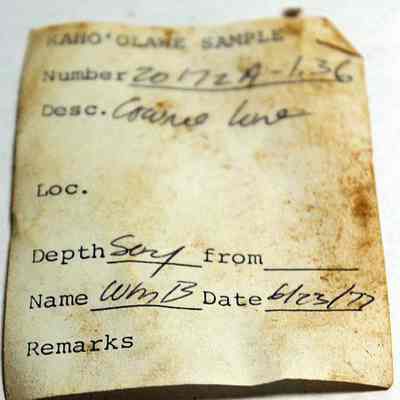 Artifact slip for damaged cowrie shell (leho) lure (lu he'e): Original format: Other
