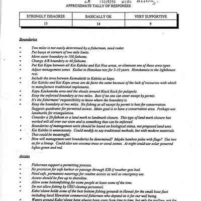 Summary of Comments/Issues Raised at the Public Informational Meetings