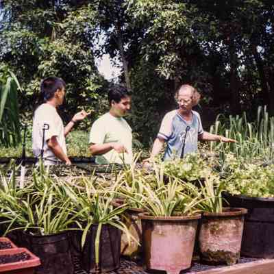 Men discussing plants
