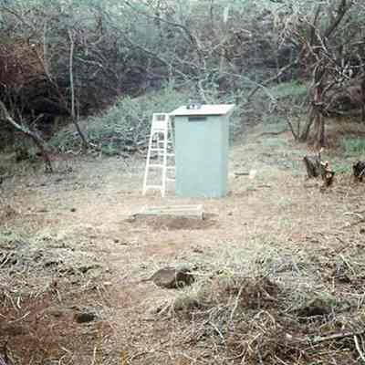 Structure in clearing