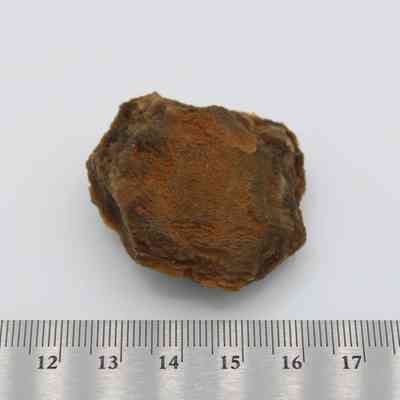Agate core with ruler: The image shows a rough, brown agate core placed on a white surface, alongside a ruler for scale.