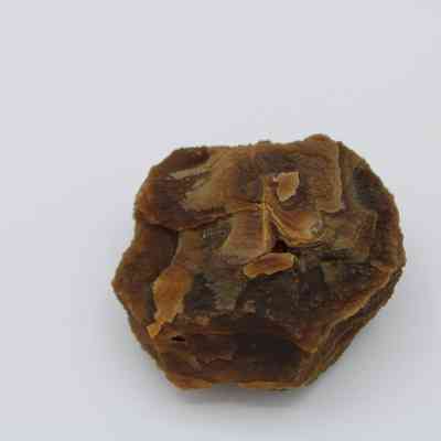 Closeup of agate core: The image shows a rough agate core, showcasing its layered brown and tan textures, set against a plain white background.