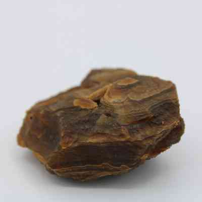 Closeup profile of agate core: The image shows an agate core, featuring layered brown and earthy hues with a rough texture, set against a light background.