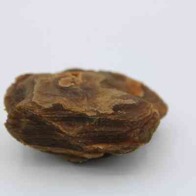 Profile of agate core: The image depicts a rough, brownish agate core with rich textures and subtle color variations, set against a plain background.