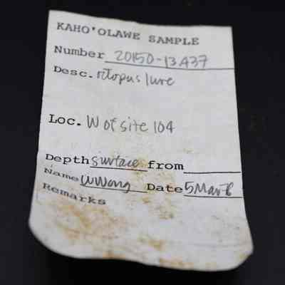 Artifact slip for small octopus lure: Origsize: 6 cm (l); Origformat: Artifact; Resolution: 200 dpi