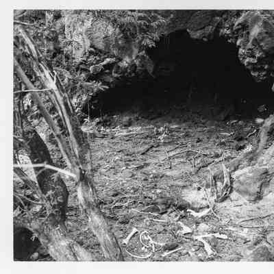 Site 362B #2