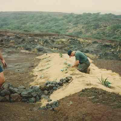 Two men working plantings & check dam
