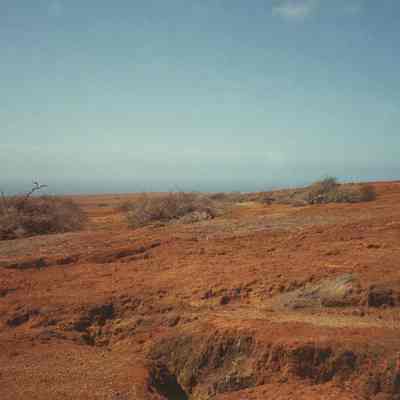 Brush pile SE of Luamakika