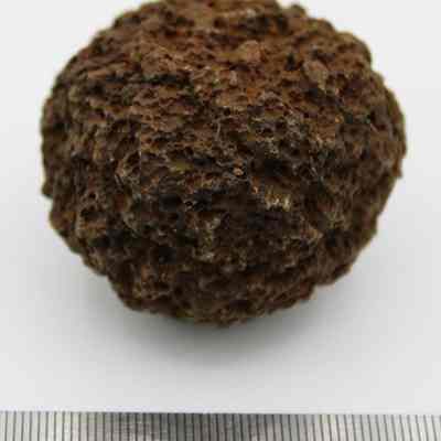 Hammerstone