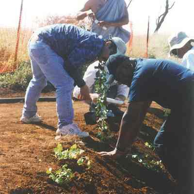 Men planting to stabilize berm