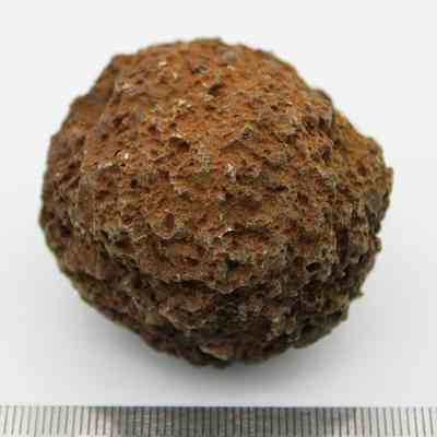 Profile of small hammerstone: Origsize: 5 cm (D); Origformat: Artifact; Resolution: 200 dpi