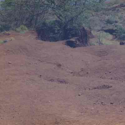 Hardpan and wooden stake