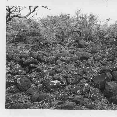 Site 358A #9