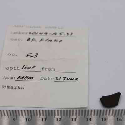 Tiny flake of basaltic glass