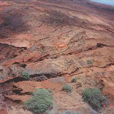 Soil erosion and hard pan: Origsize: 4" x 6"; Origformat: Print-Photographic; Resolution: 200 dpi