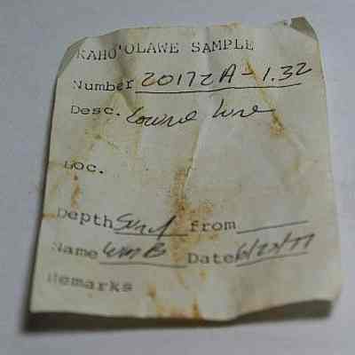 Artifact slip for lu he'e (cowry shell lure): Original format: Other; Resolution: 150 dpi