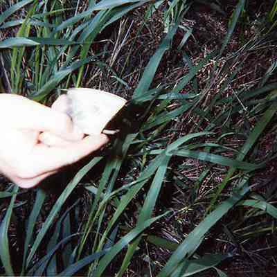 Piece of china held in a hand