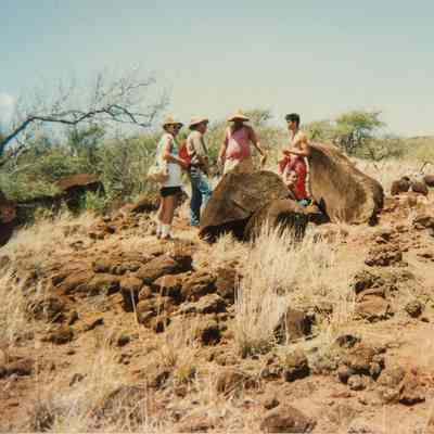 People standing next to rock with petroglyphs