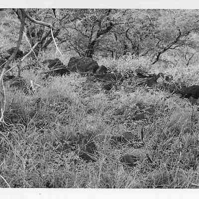 Site 106D #3