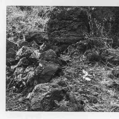 Site 647E #8