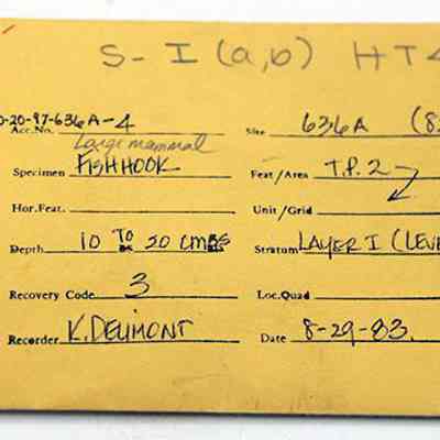 Artifact envelope for part of a fishhook: The image shows a yellow archaeological record envelope detailing a fishhook specimen, with site information, depth, and recorder details, dated 8-29-1983.