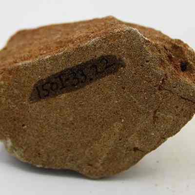 Close up of pumice file with alternate id number visible: This image shows a pumice rock with a rough, porous texture. A handwritten label with numbers appears on its surface, suggesting cataloging or identification.