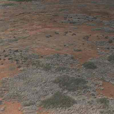 Aerial-possible archaeological site
