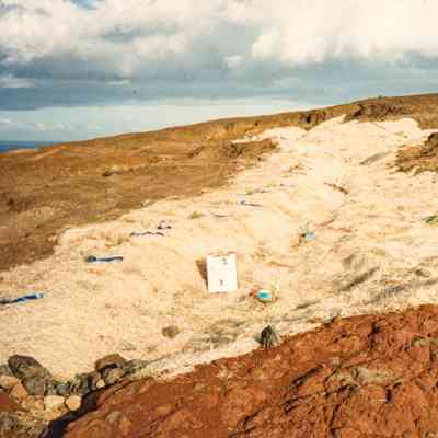 Fabric matting and plants on hardpan terrain