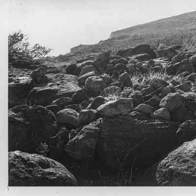 Site 348A #15