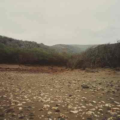 Kaulana Streambed