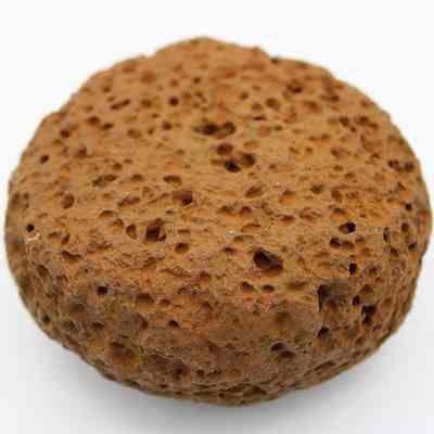 Closeup of an 'ulu maika: The image shows a brown, round, porous object resembling a pumice stone with numerous holes scattered across its entire surface, creating a textured and rough appearance