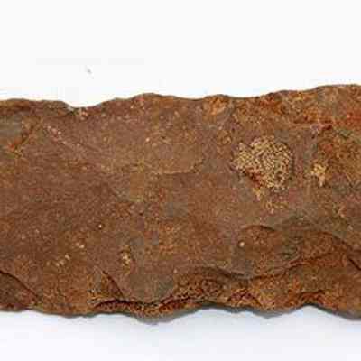 Top view of adze preform #2: Origsize: 11 cm x 3.75 cm; Origformat: Artifact; Resolution: 200 dpi