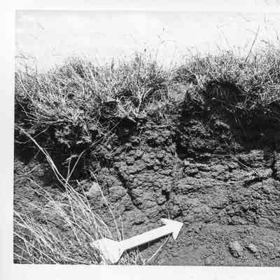 Site 104A, SMI 8103-09