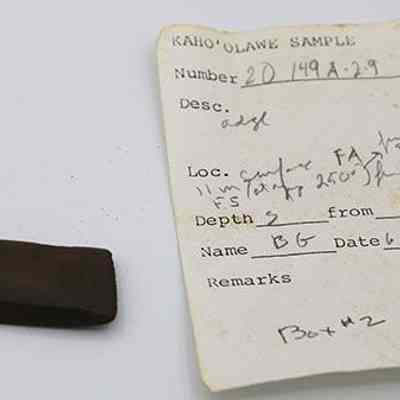 Small adze with artifact slip: Original size: 4.5 cm (L); Original format: Artifact; Resolution: 200 dpi
