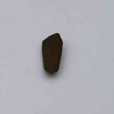Closeup of basaltic glass flake: The image shows a small, dark piece of basaltic glass flake lying on a light surface, with a rough, irregular shape.