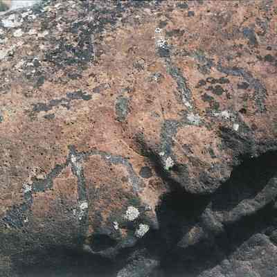 Closeup of two petroglyphs