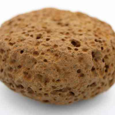Closeup of an 'ulu maika profile: The image depicts a rough, brown, porous stone resembling a pumice, set on a plain white background, showcasing its texture and irregular surface.