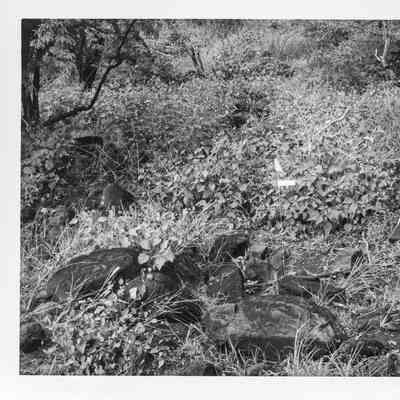 Site 106I #11