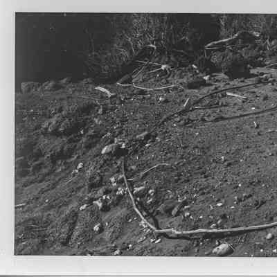 Site 636A #3