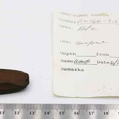 Adze with artifact slip: Original size: 3 cm (L) x 2.5 cm (W; Original format: Artifact; Resolution: 200 dpi